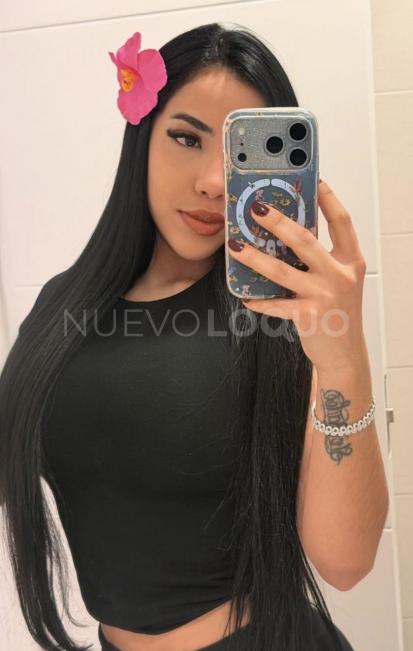 NuevoLoquo1