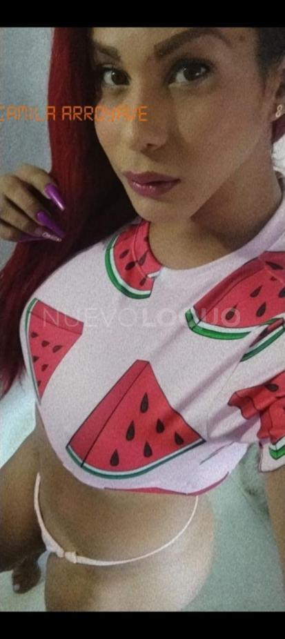 NuevoLoquo4