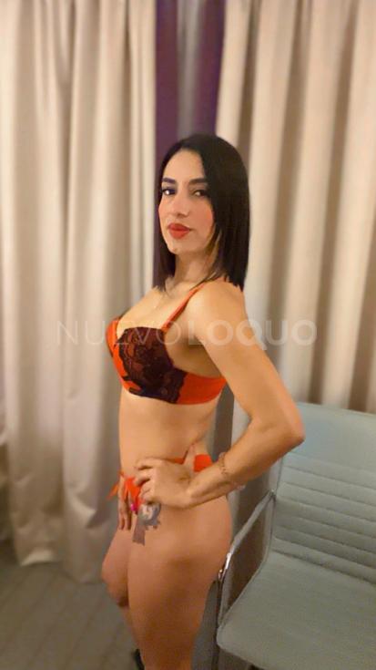 NuevoLoquo1