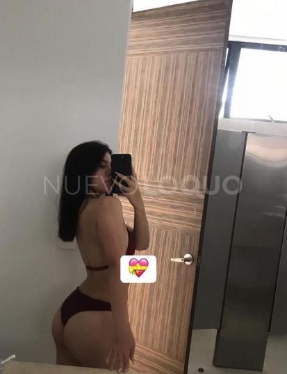 NuevoLoquo1