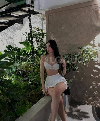 NuevoLoquo2