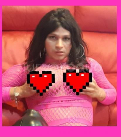 NuevoLoquo4