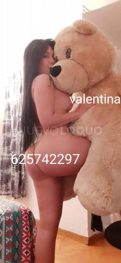 NuevoLoquo4