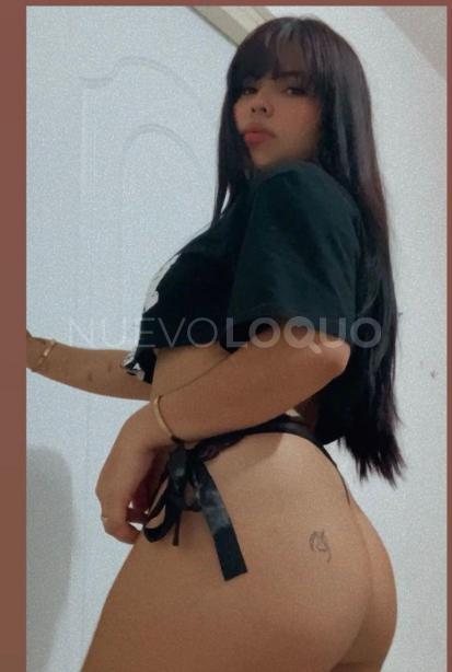 NuevoLoquo2