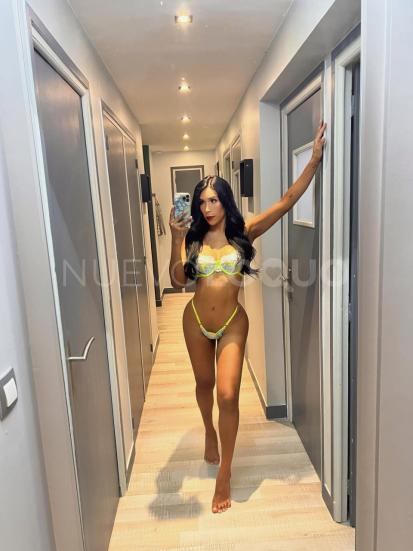 NuevoLoquo1