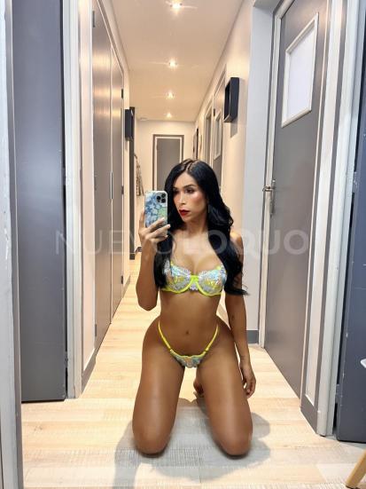 NuevoLoquo3
