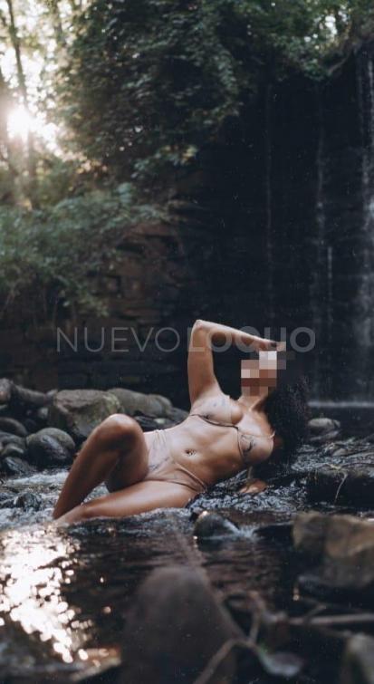 NuevoLoquo3