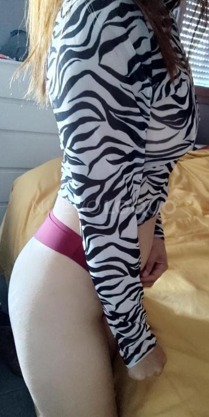 NuevoLoquo2