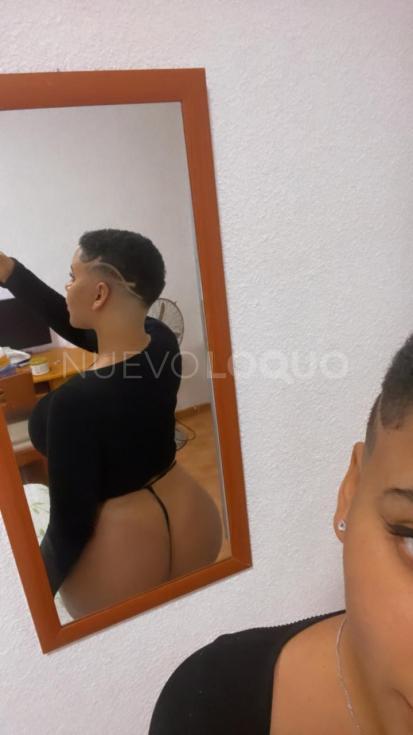 NuevoLoquo5