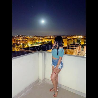 NuevoLoquo3