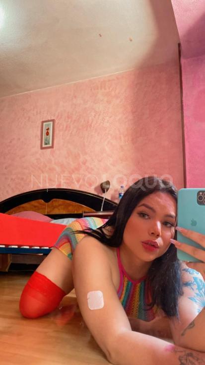 NuevoLoquo3
