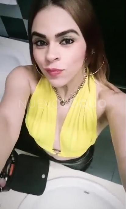NuevoLoquo2