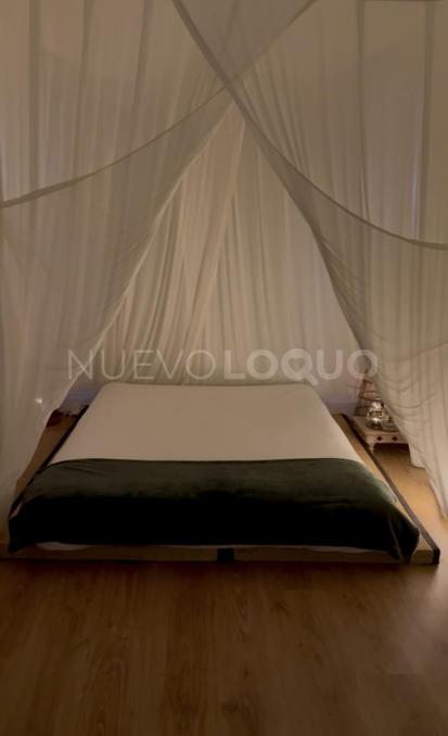 NuevoLoquo3
