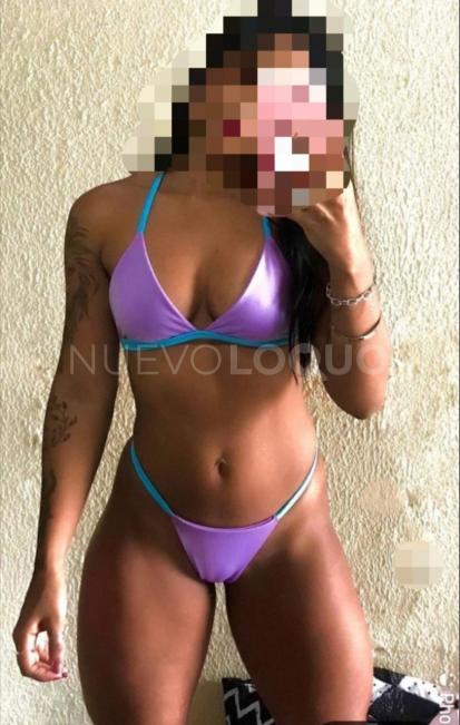 NuevoLoquo2