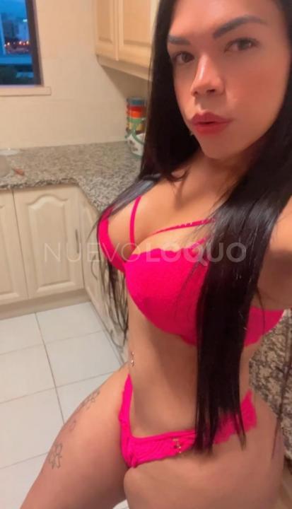 NuevoLoquo3