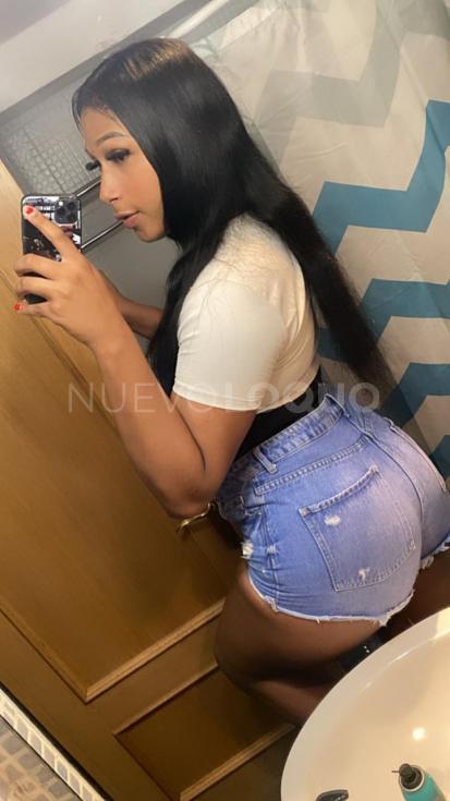 NuevoLoquo1