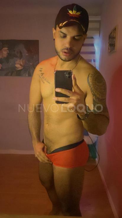NuevoLoquo2