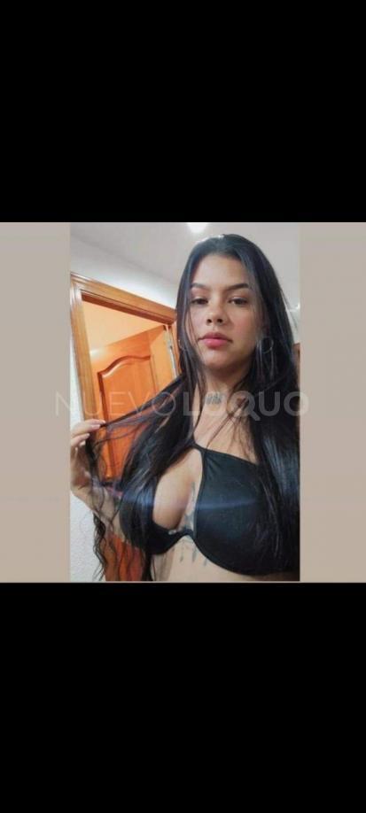 NuevoLoquo3