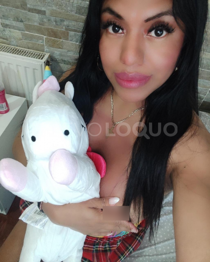 NuevoLoquo2