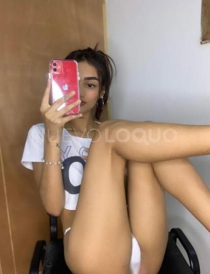NuevoLoquo3