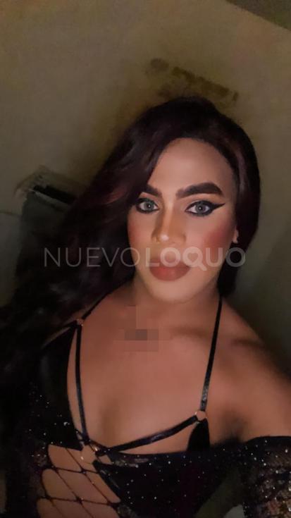 NuevoLoquo3