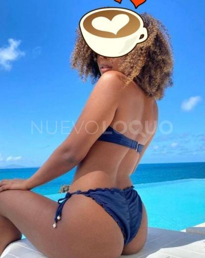 NuevoLoquo3