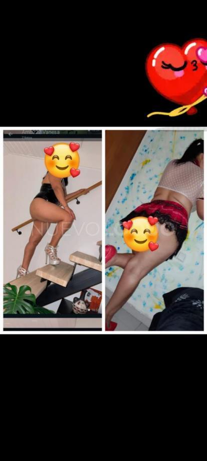 NuevoLoquo3