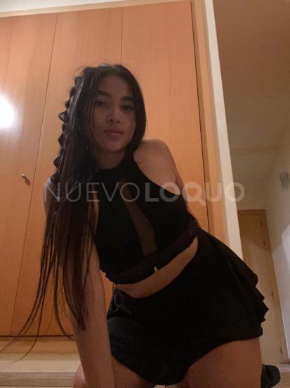 NuevoLoquo1