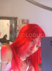 Trans pelliroja ariel  hs 