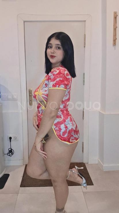 NuevoLoquo3