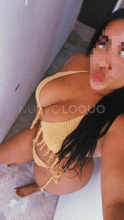  Novedad, Mulata morbosa XL