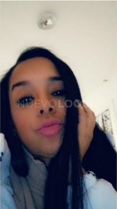 NuevoLoquo3