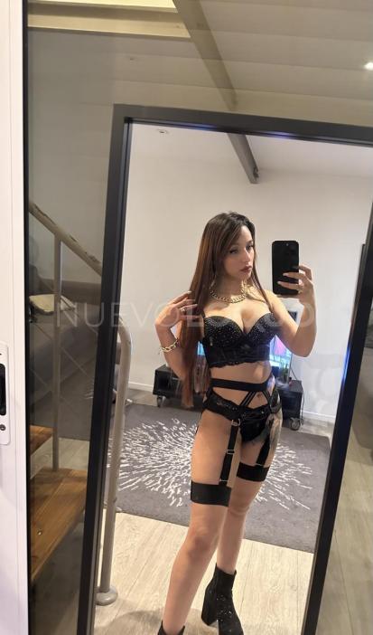 NuevoLoquo2
