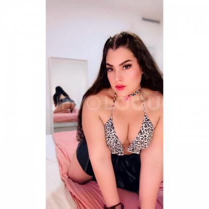 NuevoLoquo1