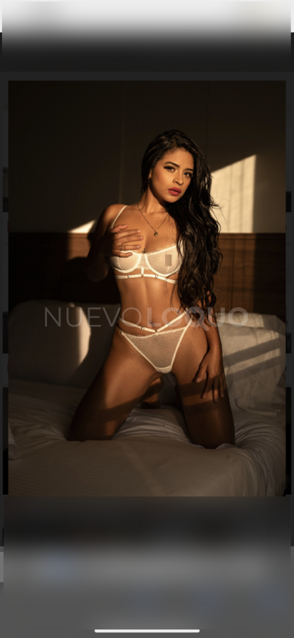 NuevoLoquo1