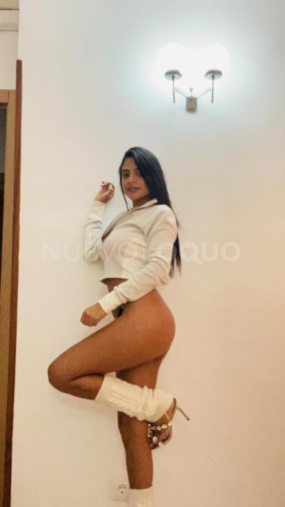 NuevoLoquo3