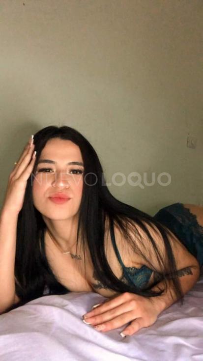 NuevoLoquo2