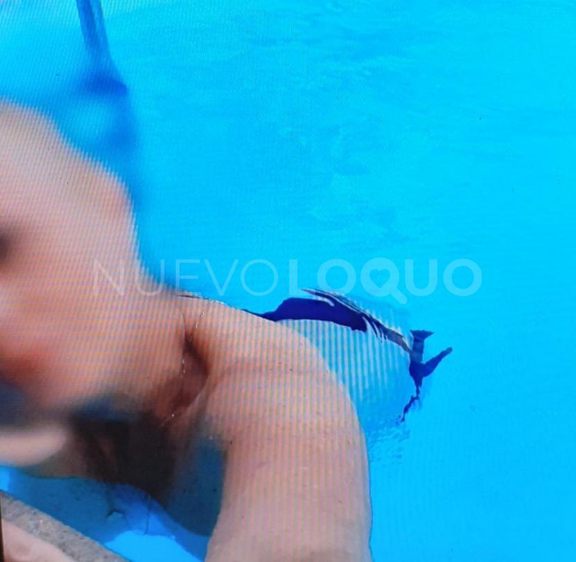 NuevoLoquo5