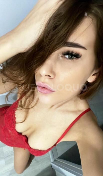 NuevoLoquo1