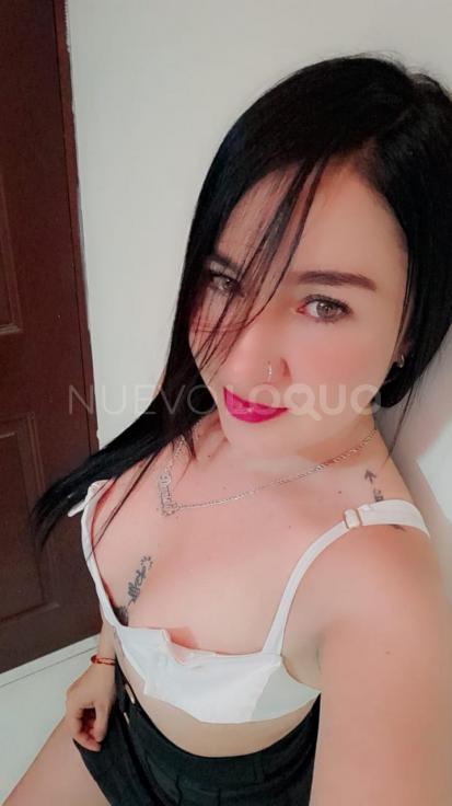NuevoLoquo2