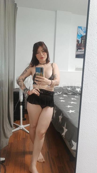 NuevoLoquo3