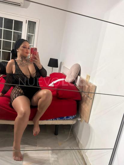 NuevoLoquo4