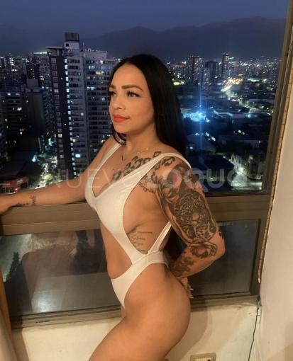 NuevoLoquo1