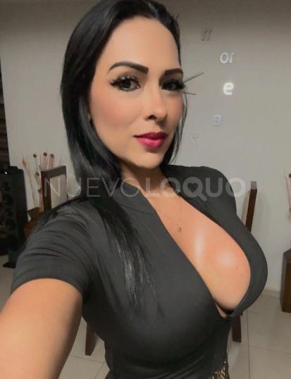 NuevoLoquo2