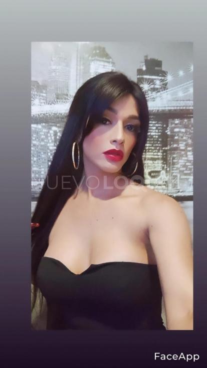 NuevoLoquo3