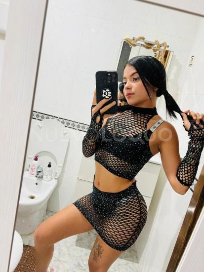 NuevoLoquo3