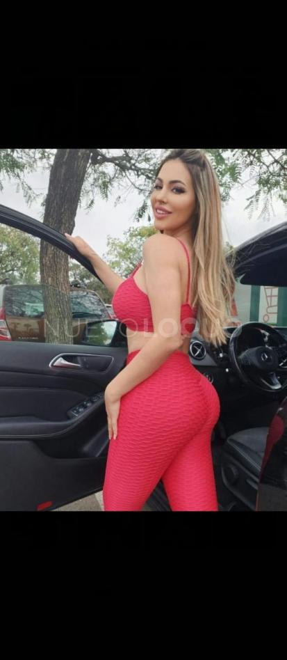 NuevoLoquo2