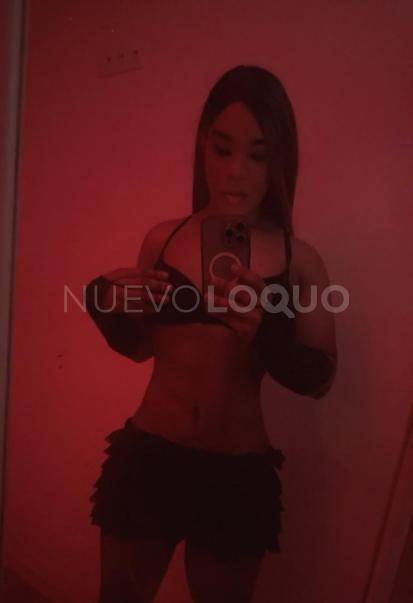 NuevoLoquo1