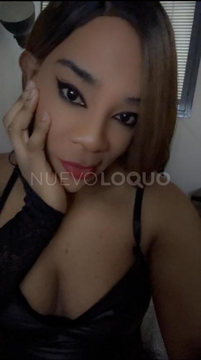 NuevoLoquo3