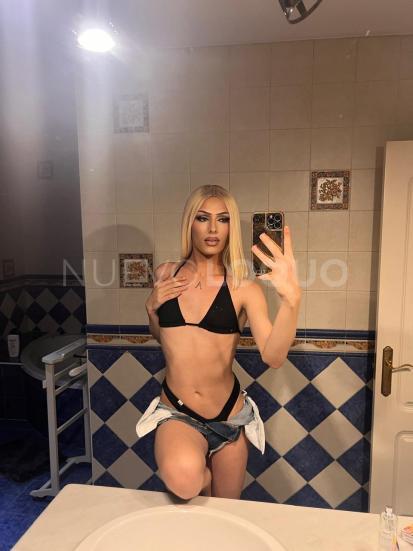 NuevoLoquo1